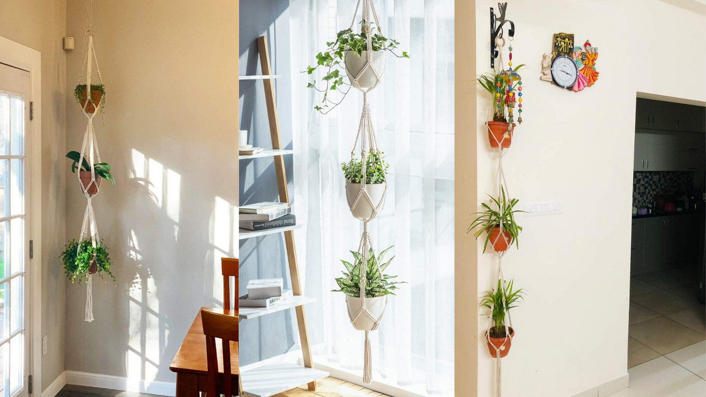 macrame plant hanger