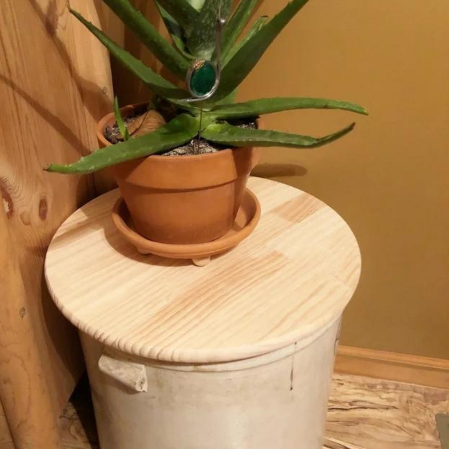 Set of 5 Pine Wooden Circles 24'' Diameter & 3/4'' Thick for Art, Crafts & Other DIY Projects