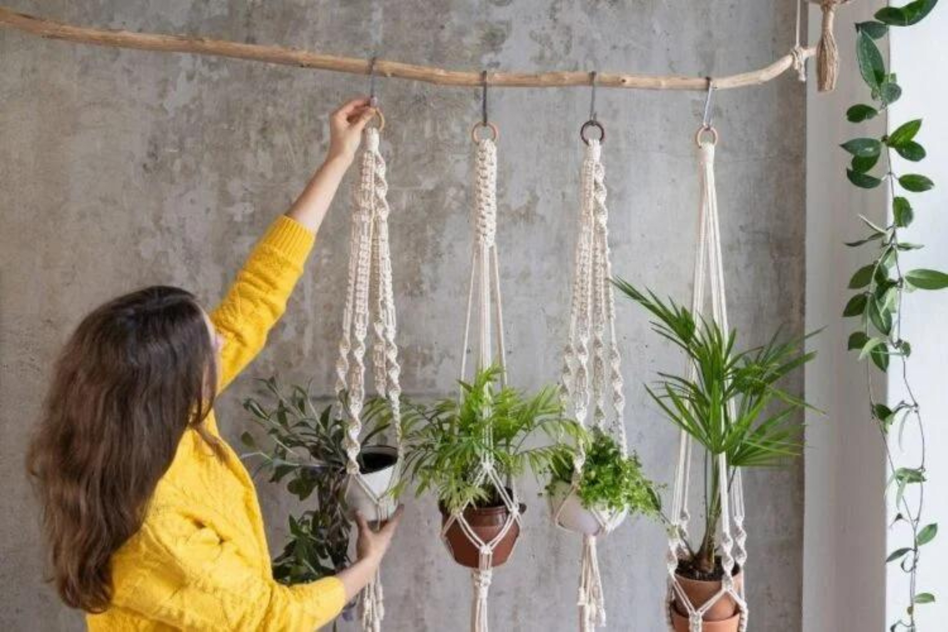 macrame hanging planter
